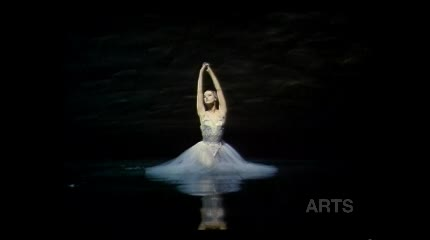 Thumbnail image for The Daily Feed