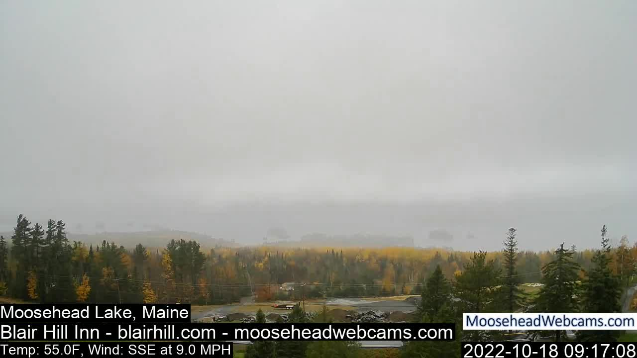 Thumbnail image for Daily Feed Replay