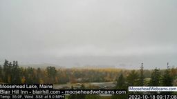 Thumbnail image for Daily Feed Replay