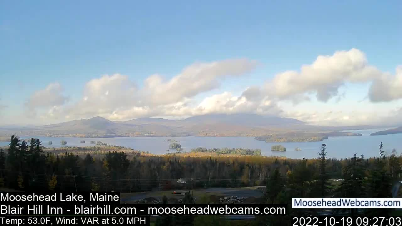 Thumbnail image for Daily Feed Replay